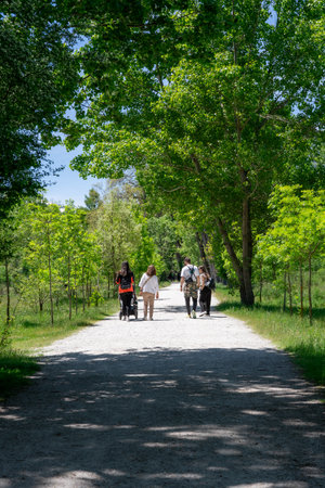Family walking on a country road in the park in springtime.の写真素材