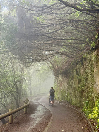 Woman walking on a foggy road in the rainforest, Costa Ricaの写真素材
