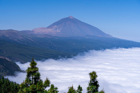 Mt. Fuji in the clouds, Yamanashi, Japanの写真素材