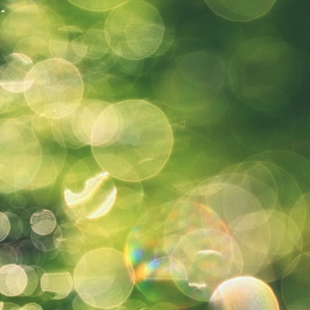 Green bokeh from fresh morning dew on spring grassの写真素材