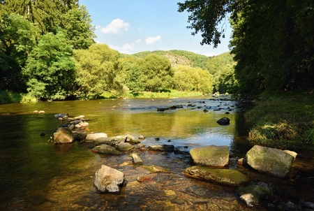 Beautiful summer landscape with river, forest, sun and blue skies. Natural background. Green.の写真素材