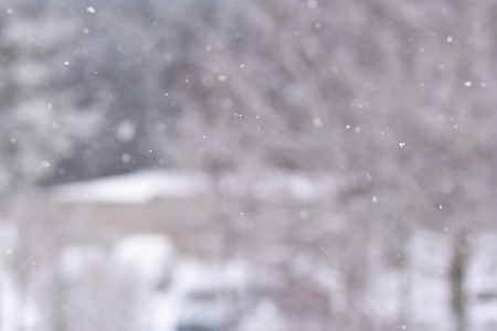 Snowfall. Beautiful winter background seasonal nature and the weather in winter. Winter landscape with falling snow.の写真素材