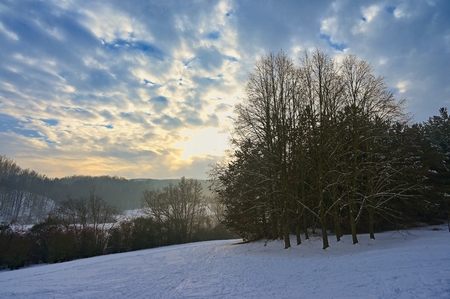 Winter landscape - frosty trees in the forest. Nature covered with snow. Beautiful seasonal natural background.の写真素材