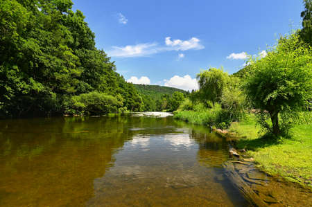 Beautiful summer landscape with river, forest, sun and blue skies. Natural colorful background. Jihlava River, Czech Republic - Europeの写真素材