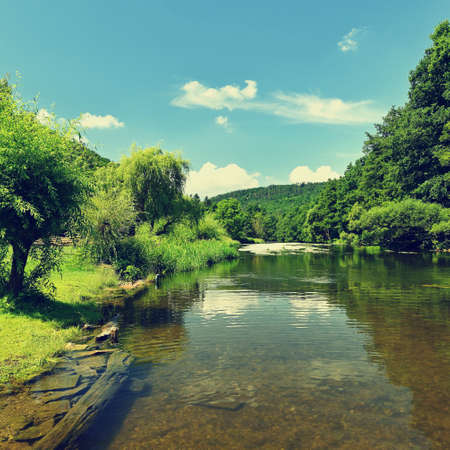 Beautiful summer landscape with river, forest, sun and blue skies. Natural colorful background. Jihlava River, Czech Republic - Europeの写真素材