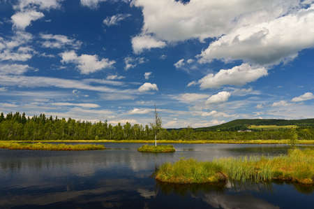 Beautiful landscape in nature with forest, water and blue sky with clouds. Chalupska moor - National...