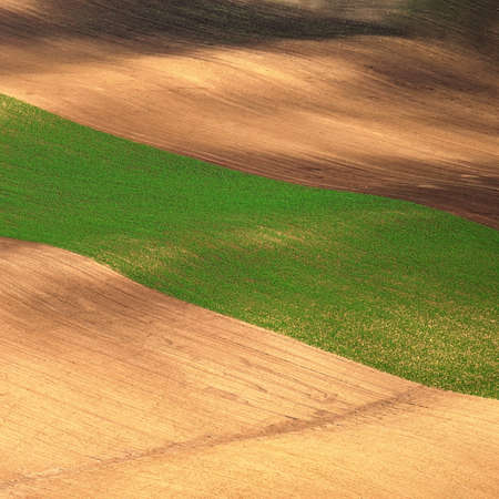 Beautiful landscape with spring nature. Waves on the field. South Moravia - Moravian Tuscany - Czech Republic Europe ..の写真素材