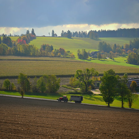 Tractor on the field. Beautiful autumn nature with landscape in the Czech Republic. Colorful trees with blue sky and sun. Background for autumn and agriculture.の写真素材