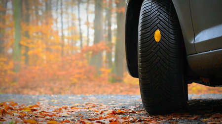 Tires with leaves and car on wet road in autumn season. Foggy and dangerous driving - concept for...