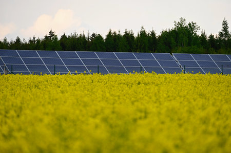 Solar power plant - concept for electricity and ecological industry. High energy prices. Beautiful landscape and sunny day with blue sky. Photovoltaic power plant.の写真素材