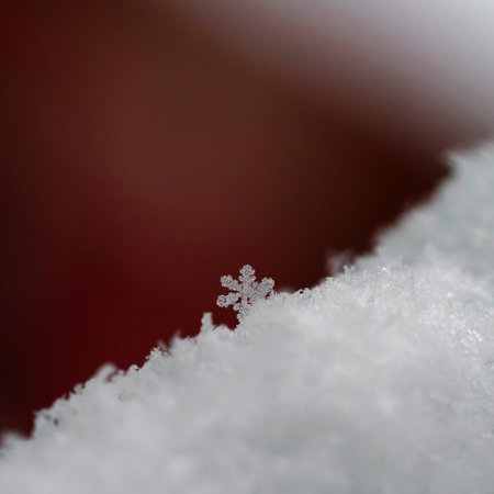 A beautiful real snowflake. Snow in nature. Macro photo in winter. Concept for Christmas and...