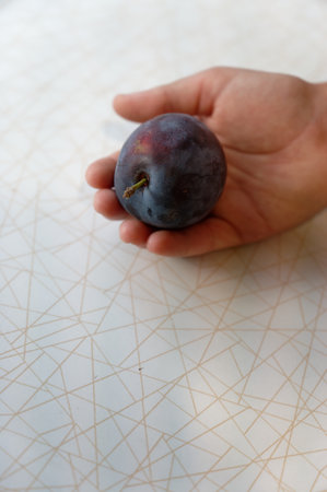 plum in hand on the background of the white pattern of the wallの写真素材