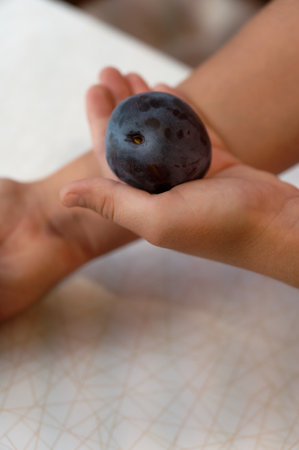 Close-up of a child's hand holding a blue plumの写真素材