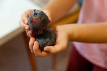 Close-up of a child's hand holding a plum.の写真素材