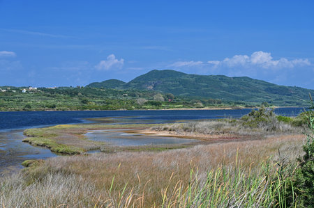 Beautiful aerial vibrant view of Korission Lake Lagoon landscape, Corfu island, Greece with pink flamingos flock, Ionian sea and mountains.の写真素材