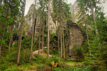 Adrspach - rock town. Nature park - Czech Republic. Sandstone big stones and rocks in the forest. Autumn landscapeの写真素材