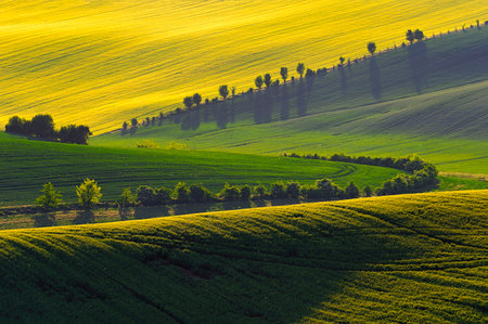 Beautiful spring landscape with field, hills and sunset. Czech Republic - South Moravia (Moravian Tuscany.) Concept for agriculture, travel, environment and nature..の写真素材