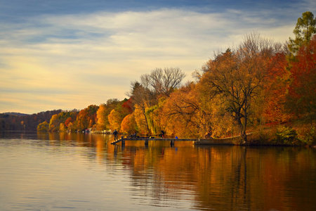 Beautiful colorful autumn leaves. Seasonal natural background. Fall time.の写真素材