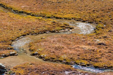 creek bend in a alpine moor at Val Fexの写真素材