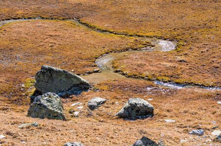 creek bend in a alpine moor at Val Fexの写真素材