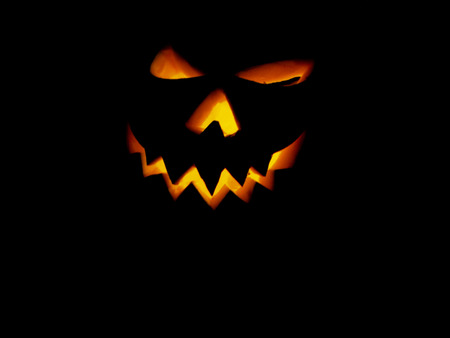 pumpkin halloween Jack O'Lantern isolatedの写真素材