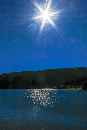Coniferous Forest on a Wilderness Lakeの写真素材