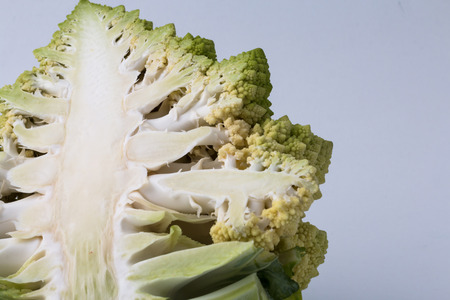 Cauliflower Romanesco broccoli on white backgroundの写真素材