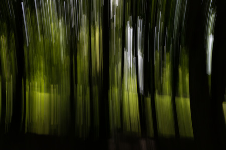 Abstract light patterns on blurred green forest backgroundの写真素材