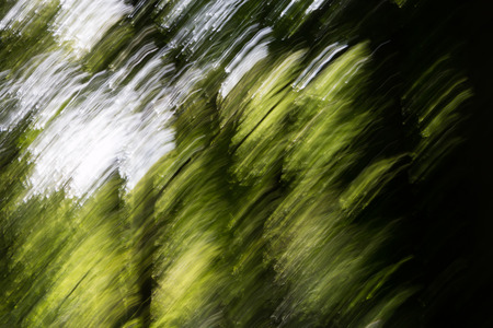 Abstract light patterns on blurred green forest backgroundの写真素材