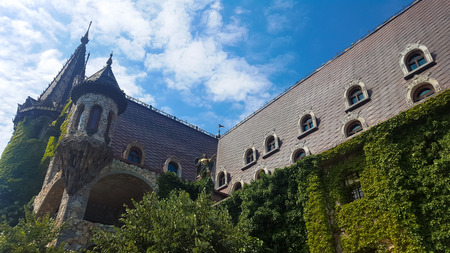 In love with the wind, The Castle of Ravadinovo - Bulgariaのeditorial素材