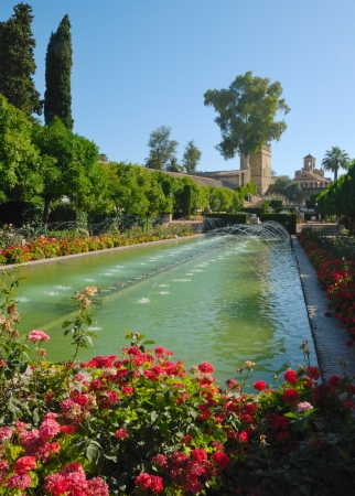 Pond surrounded by flowers in The Alcazar of Cordoba, Spain の写真素材