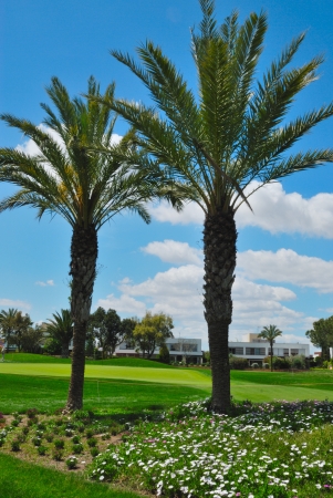Palms golf courseの写真素材