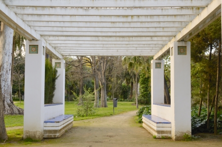 Benches in Maria Luisa Park, Seville, Spainのeditorial素材