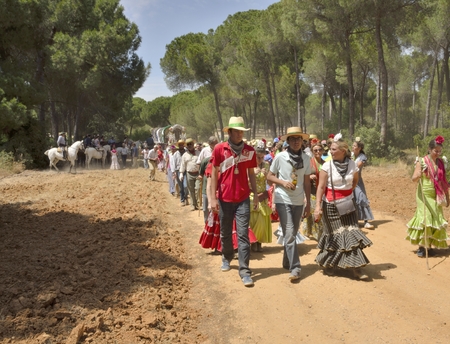 Pilgrims on the way of the pilgrimage  among the pines of the countryside of Huelva.
They go to the village of El Rocio in Huelva, Spain. のeditorial素材