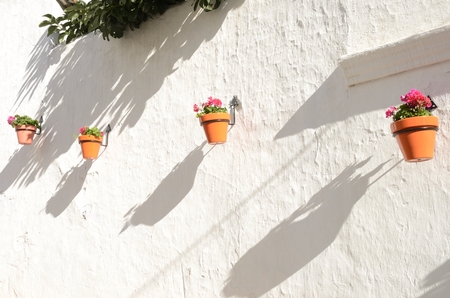 Flowers pots on white wall in the old town of Estepona, Andalusia, Spain.の写真素材