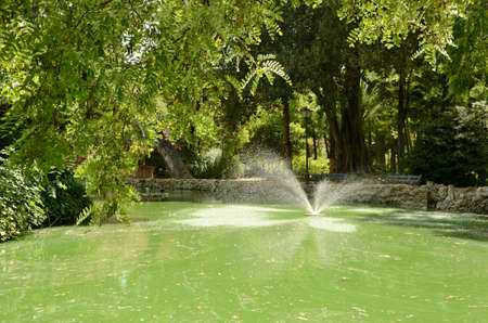 Waterjet on green pond in park of Seville, Andalusia, Spain.