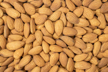 Organic almond nut top view background.の写真素材