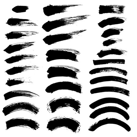 Vector grunge brush stroke collection. Black paint brush.のイラスト素材