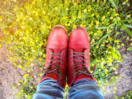 Top view feet ware red boots of the girl standing on small grass on the ground with gold light.の写真素材