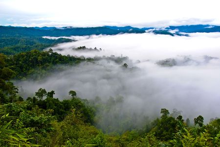 Sea fog at Kaeng Krachan Dam