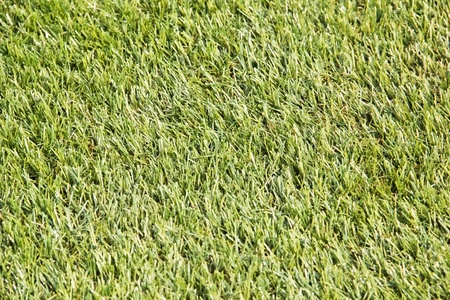 Grass and grass
