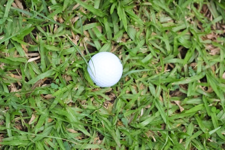 white Golf ball on green grassの写真素材