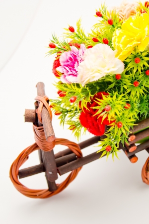 Flowers in vase white backgroundの写真素材
