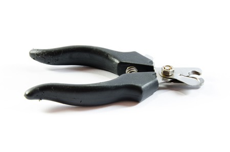 Clippers  with isolated on white backgroundの写真素材