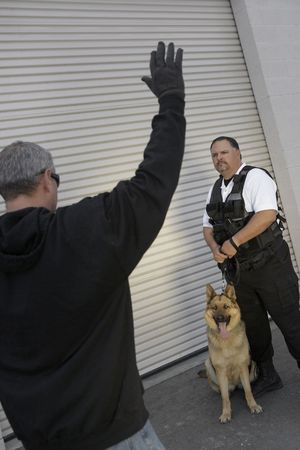 Thief with raised arms and security guard with dogの写真素材