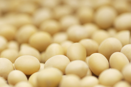 Heap of chicken eggs