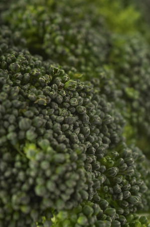 Broccoli, close-up
