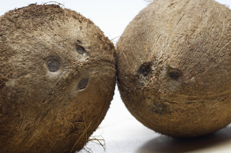 Two coconuts