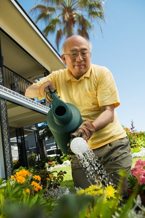 Man Watering Gardenの写真素材