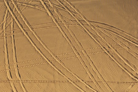 Tire Tracks